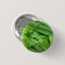 Suche nach sellerie Veggies