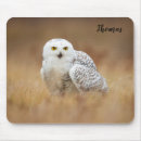 Suche nach schneeeule mousepads Natur