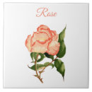 Suche nach rosa rosen rosen fliesen Pfirsichfarben