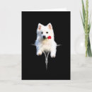 Recherche de spitz vœux cartes Chien