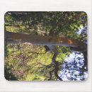 Suche nach baum mousepads Fotografie