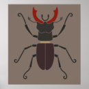 Suche nach beetle poster Natur