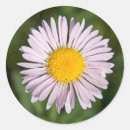 Recherche de cascades autocollants Botanique