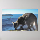 Recherche de voyage de chat posters Chats