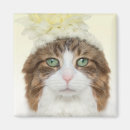 Recherche de habillement refrigérateur magnets Chat