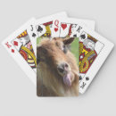 Suche nach lustige tiere spiele spielkarten Ziege