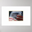 Suche nach adler foto poster Usa