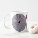 Recherche de oursins tasses Océan