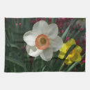 Suche nach narzisse geschirr tücher Daffodil