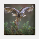 Suche nach vor dem flug magnete Usa