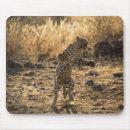Suche nach ärger mousepads Wild lebende tiere