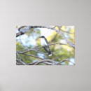 Suche nach birds leinwandbilder Bäume