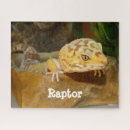 Suche nach gecko puzzle Reptil