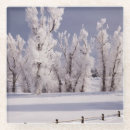 Suche nach bedeckt untersetzer Winter