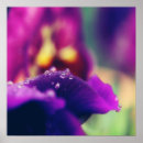 Recherche de art sensuel posters Photographie