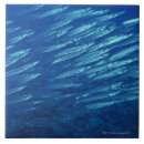 Suche nach schule der fische fliesen Horizontal