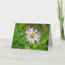 Suche nach sumpf karten Blume