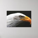 Suche nach schwarz weißer adler poster Leinwand