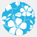 Suche nach hula aufkleber Hibiskus