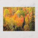 Recherche de valley cartes postales Nature