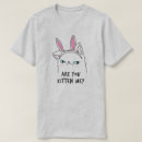 Suche nach kaninchen mit kleidung Ohren