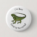 Suche nach iguana buttons Mexiko