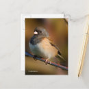 Recherche de sombre cartes postales Photographie de la nature