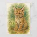 Recherche de chat sauvage Bobcat