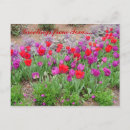 Recherche de tiges vertes cartes postales Flore