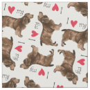 Recherche de épagneul de champ Chien de chasse