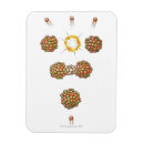 Recherche de nucléaire magnets La science