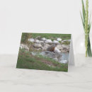 Recherche de castor cartes postales Boisé