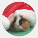Recherche de piggie autocollants Animal