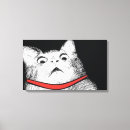 Suche nach keuchen Katze