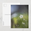 Recherche de naturel cartes postales Botanique