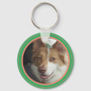 Recherche de lapin accessoires Bleu