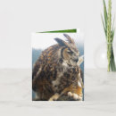 Suche nach virginia uhu karten Natur