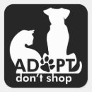 Recherche de adoptez un chat Abri