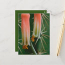 Suche nach aloe poster Makro