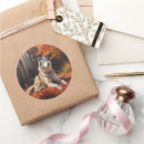 Suche nach sibirischer husky aufkleber Haustier