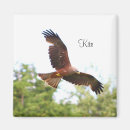 Recherche de cerf volant magnets Oiseau