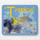 Recherche de poissons tropicaux tapis souris Sous marin