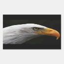 Recherche de bald eagle autocollants Oiseau