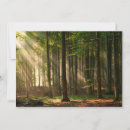 Suche nach laubbäume karten Wald