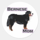 Recherche de berner autocollants Bernais