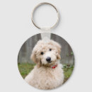 Suche nach goldendoodle goldendoodles schlüsselanhänger Niedlich