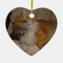 Recherche de main ornements Chat
