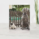 Suche nach für great dane karten Tier