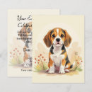 Recherche de chiot beagle invitations Amoureux des chiens