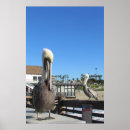Suche nach steg poster Strand